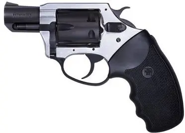 CHARTER Arms Pathfinder Lite 22mag Ss 2"